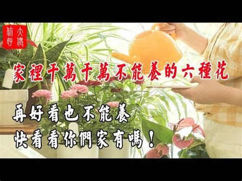 家裡不能放的花|為什麼房間不能放花？室內花卉永生花風水禁忌，一次。